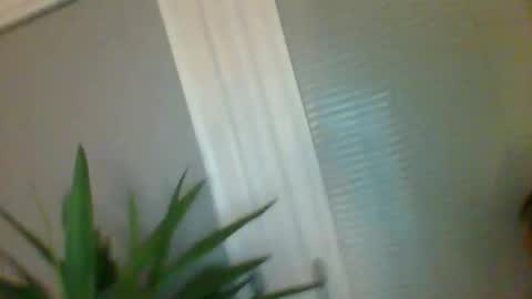 shagnasty69598568 online show from December 15, 6:50 am