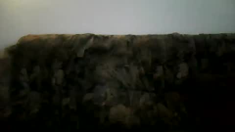 excelo21 online show from February 2, 2:13 pm