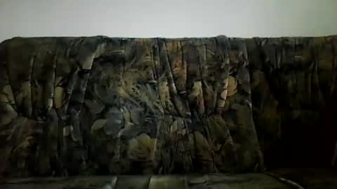 excelo21 online show from February 16, 10:21 am