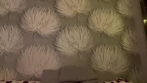 Snapshot of shaquitaalcosiba chatting on January 11, 8:03 pm Alica online show from January 11, 8:03 pm