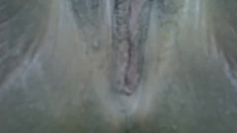 shaz online show from May 11, 2:01 pm