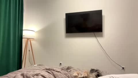 Eve online show from April 2, 8:17 pm