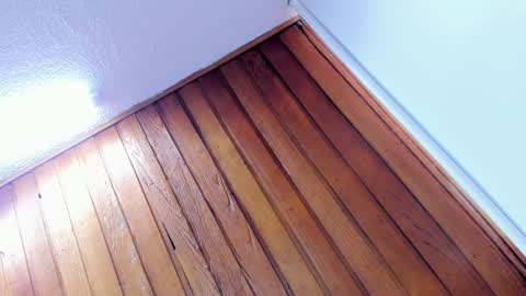 mia online show from January 8, 2:14 pm