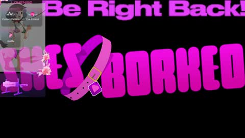 Snapshot of shesborked chatting on January 4, 2:56 pm Gina online show from January 4, 2:56 pm