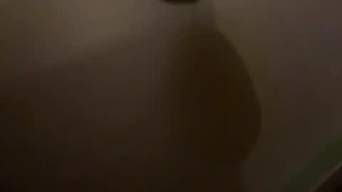 Snapshot of shida109 chatting on November 17, 8:47 pm shida109 online show from November 17, 8:47 pm