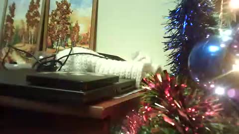 shirogane2004 online show from January 9, 7:15 pm