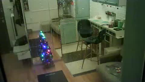 shirogane2004 online show from January 10, 7:37 pm