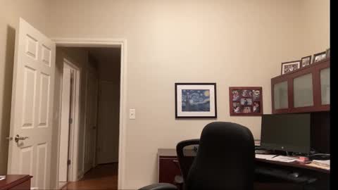 Chicago Guy online show from September 25, 3:43 am