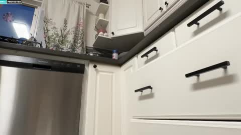 Snapshot of shygingerpnw chatting on October 11, 1:49 am shygingerpnw online show from October 11, 1:49 am