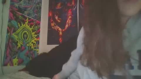 RBXs Princess online show from December 18, 3:47 am