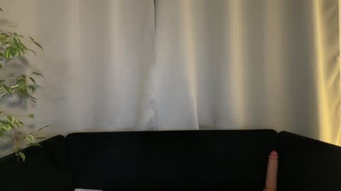 Amelia online show from December 16, 7:10 pm