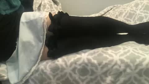 shysissy12 online show from September 28, 1:05 pm