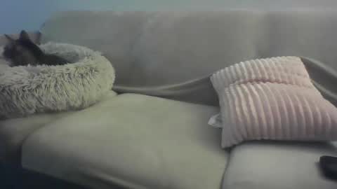 Lady Sif online show from February 16, 2:29 am