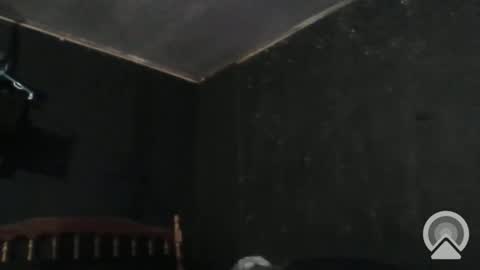 Cdub625 online show from December 29, 4:40 pm