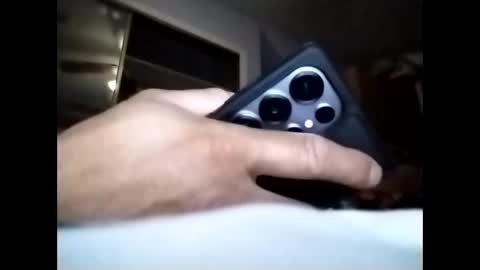 sil15nissan online show from March 25, 7:14 am