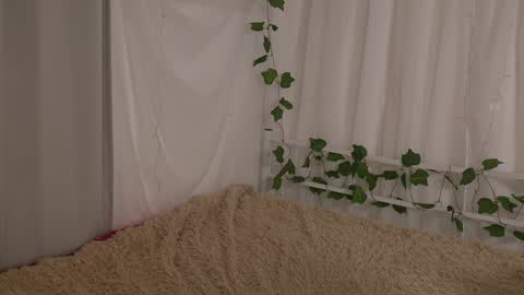 Chilli online show from January 6, 1:41 pm