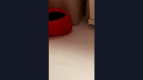 silvia998 online show from March 21, 9:07 pm