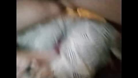 sinbook611 online show from October 23, 10:58 am