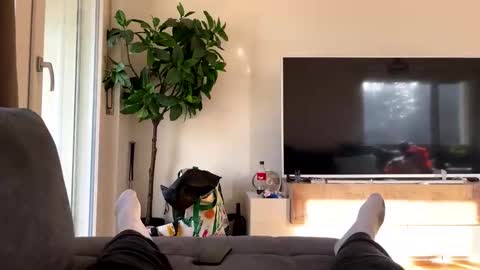 Snapshot of sincarro chatting on November 19, 11:21 am sincarro online show from November 19, 11:21 am