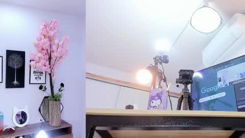 Siouxsie online show from February 5, 11:37 am