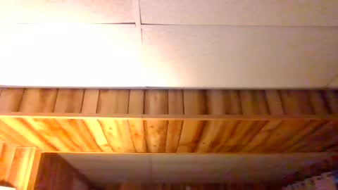 Snapshot of sirmike80 chatting on February 14, 6:48 pm SirMike80 online show from February 14, 6:48 pm