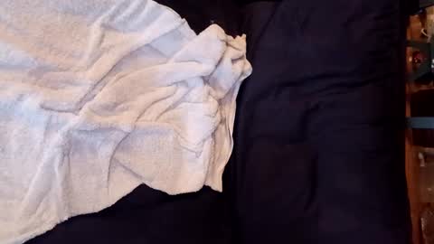 sisiam112 online show from February 1, 5:37 pm