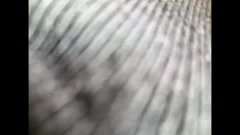 Darren from  online show from November 19, 9:42 am