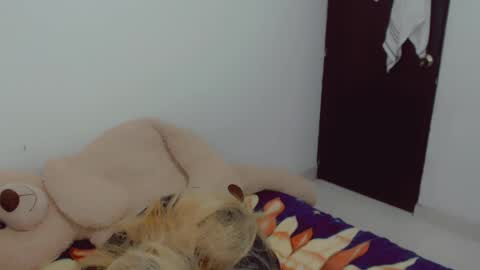 Arlett online show from April 20, 6:16 am