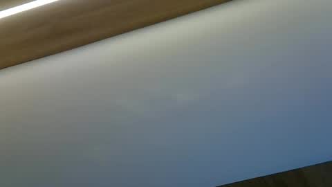 skinnykittencam online show from October 29, 8:54 pm