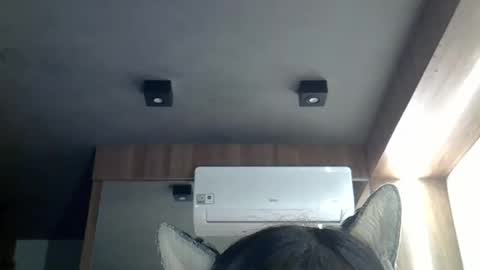 skinnykittencam online show from March 2, 11:06 am