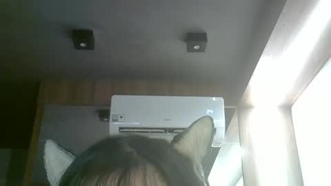 skinnykittencam online show from April 11, 3:38 pm