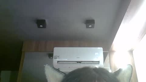 skinnykittencam online show from April 20, 7:11 am