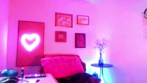 Snapshot of skylerwithe007 chatting on February 21, 12:55 am skyler online show from February 21, 12:55 am