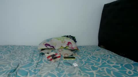 Snapshot of skynataly chatting on December 24, 9:50 am skynata online show from December 24, 9:50 am