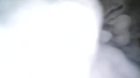 skyonetoo3 online show from October 21, 10:21 pm