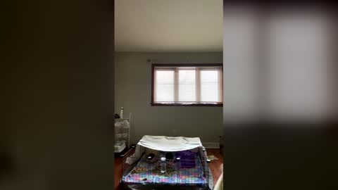 Sky Winters online show from December 17, 3:29 pm