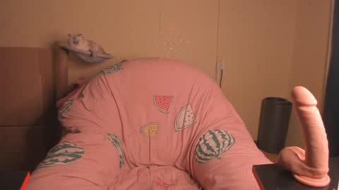 Snapshot of slaty_sugar chatting on January 20, 2:46 pm Nika online show from January 20, 2:46 pm