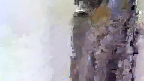 slim_me online show from April 15, 8:54 am