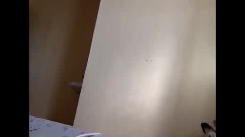 Skillibengisaadboy online show from June 4, 5:02 am