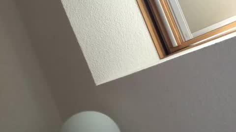 Bernd online show from September 18, 2:30 pm