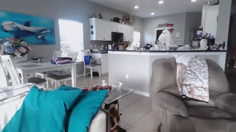 Daddy online show from December 25, 2:23 pm