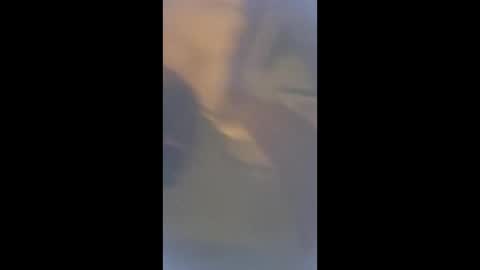 Snapshot of smcock68 chatting on March 3, 11:21 pm smcock68 online show from March 3, 11:21 pm