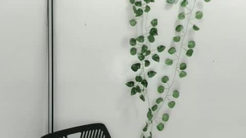 Snapshot of smellon_shake chatting on October 9, 6:33 am Julia online show from October 9, 6:33 am