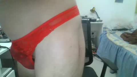 willy online show from February 6, 8:56 pm