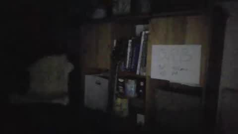 Snapshot of smiling_hillbilly chatting on January 27, 4:30 am smileing hillbilly online show from January 27, 4:30 am