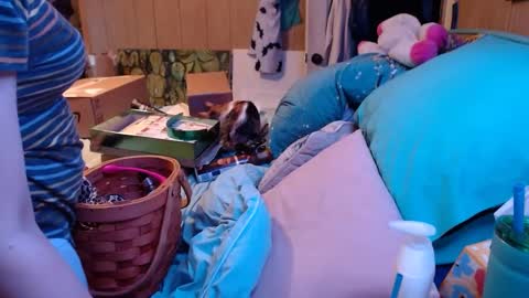 DIAN dee-ann online show from December 24, 2:54 am