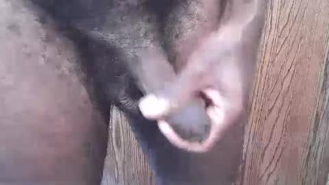 Snapshot of snkr1244 chatting on September 13, 6:29 pm snkr1244 online show from September 13, 6:29 pm