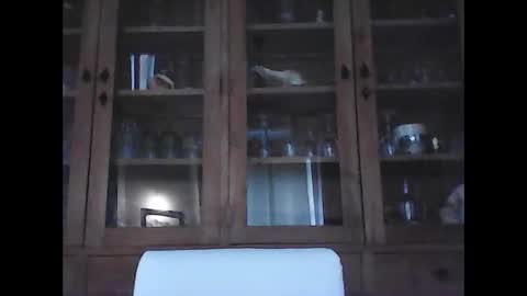 snoecks online show from February 21, 9:21 am