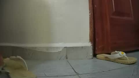 snowbell91 online show from January 27, 8:29 am