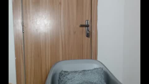 snowdrop5 online show from January 31, 11:03 pm